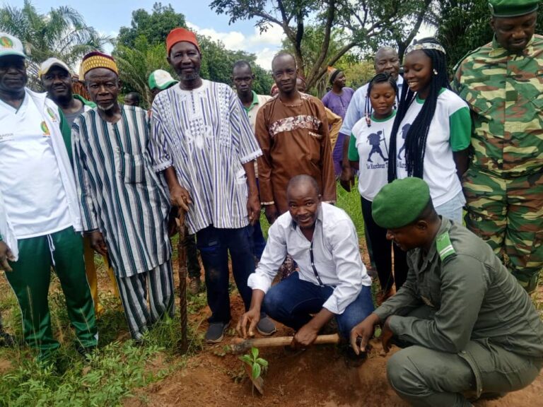 Kénédougou : Une association présente le bilan de son projet de renforcement du bosquet à plantes médicinales