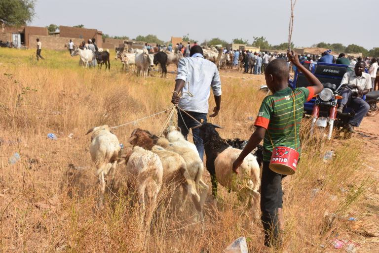 Salon de l&rsquo;élevage