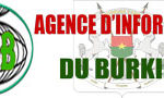 Logo-AIB-272