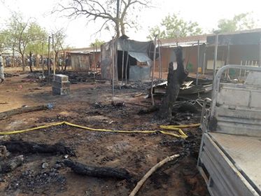 Incendie Arboré