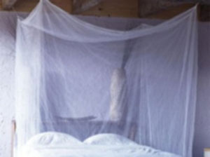 Centre-sud: 522 374 moustiquaires seront distribuées à partir de ce samedi