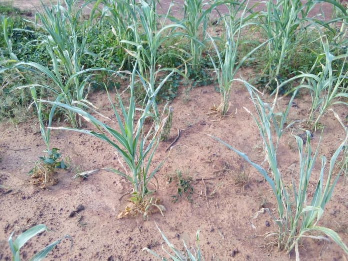Agri