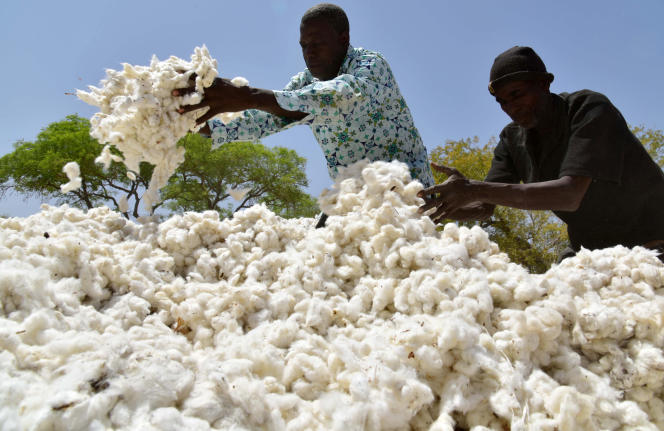 BURKINA-AGRICULTURE-COTTON-FEATURE