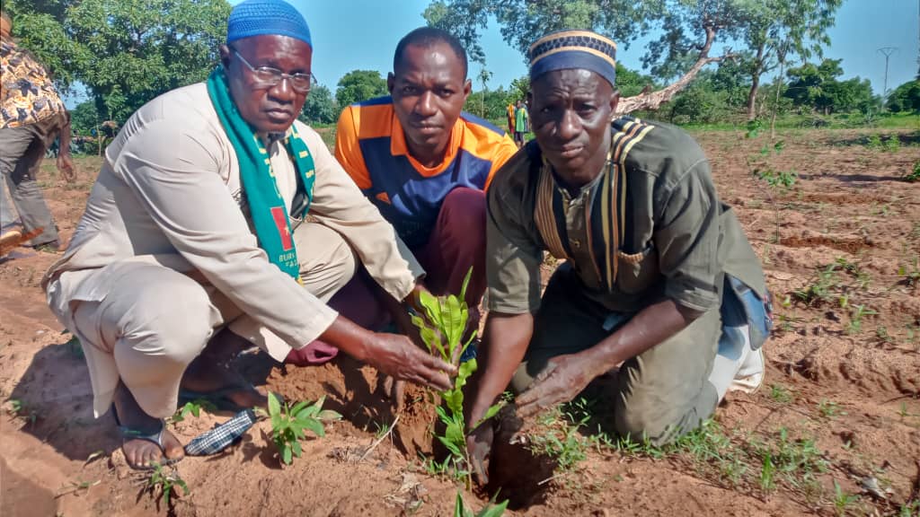 Journée de l’arbre : 2501 plants reboisés dans la province des Banwa