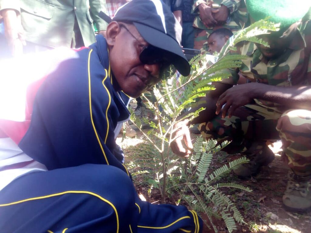 Bosquet communal de Koupéla : 600 plants mis en terre