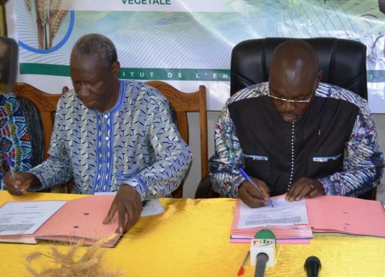 Houet : Une Convention de plus de 100 millions F CFA signée pour relancer la production du blé