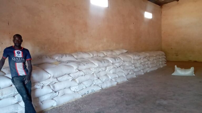 Banwa : La SONAGESS soulage des personnes vulnérables à Solenzo