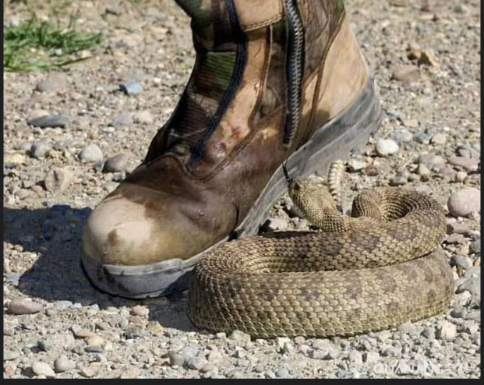 serpent