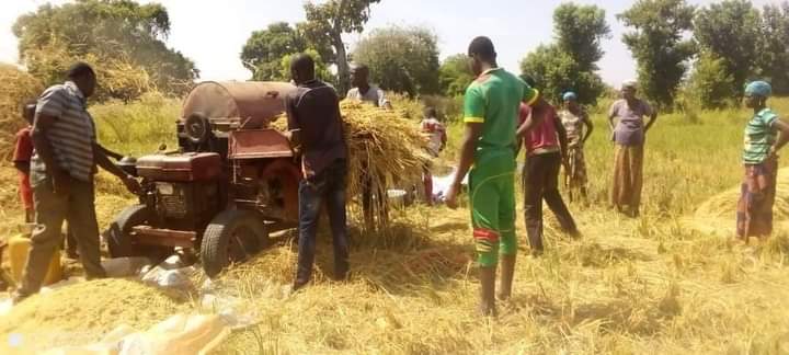 Banwa: Grâce aux patrouilles des Forces combattantes, les récoltes sont bonnes