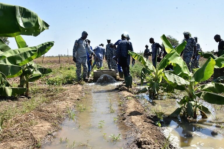 Burkina: Au centre pénitentiaire de Baporo, les détenus cultivent pour se nourrir