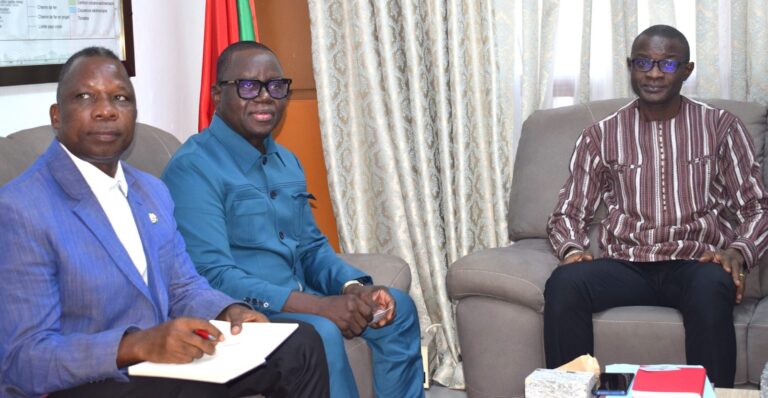 Un projet de la CEDEAO, portant interconnexion électrique entre le Nigeria, le Niger et le Burkina, en difficultés