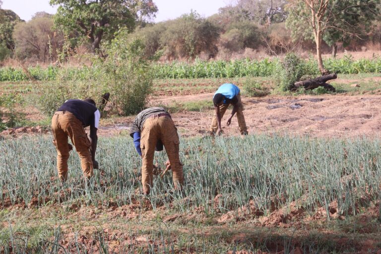 Centre-nord : La vie renait dans un village de 6 000 âmes