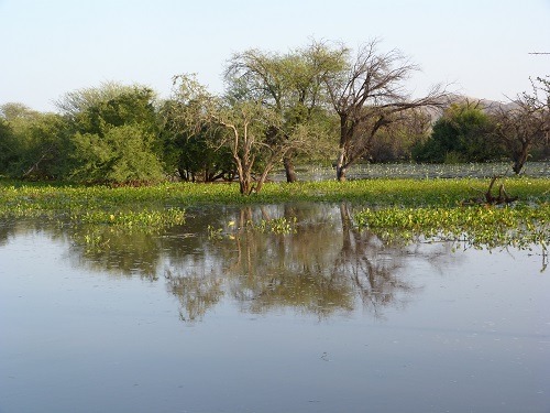 Burkina : L’AES n&rsquo;a rien à envier à une autre entité en termes de ressources, président Traoré