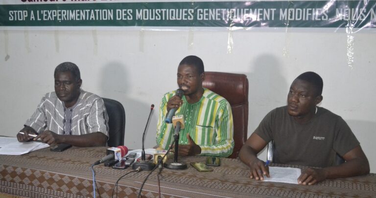 Moustiques génétiquement modifiés au Burkina Faso : Une coalition d’organisations exige l’arrêt immédiat des expérimentations