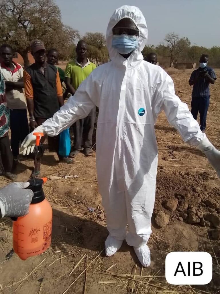 Boulkiemdé: Incinération de chauve- souris mortes suspectement