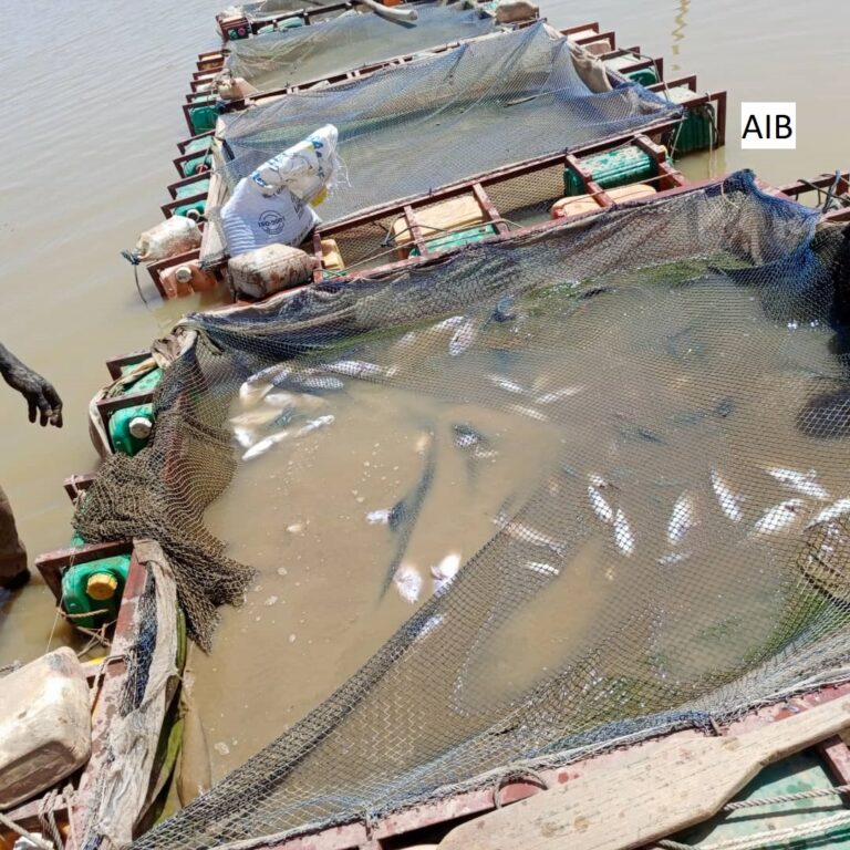 Sanmentenga/Interdiction de tout usage de l&rsquo;eau du barrage de Korsimoro : la mesure levée