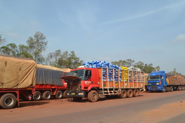Houet/Carte d’affiliation à la CNSS : Des contrôles pour sensibiliser les transporteurs routiers
