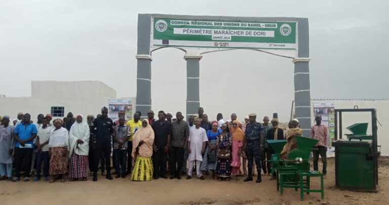 Dori: Le CRUS aménage un périmètre maraîcher au profit des PDI