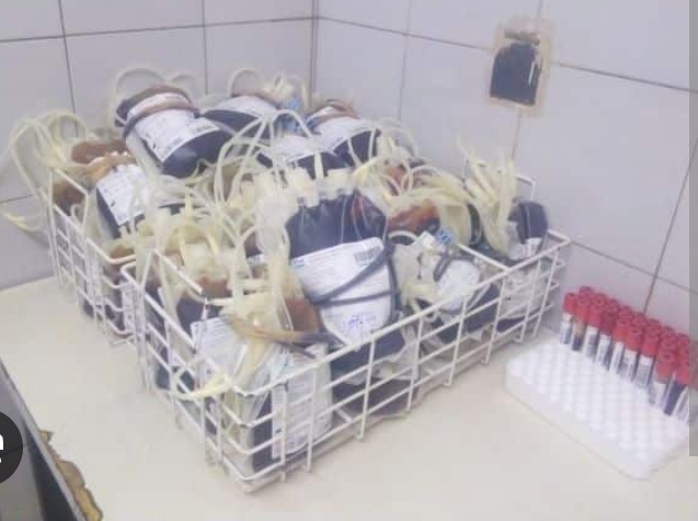 Kaya: 267 poches de sang collectées pour soutenir les malades dans le besoin