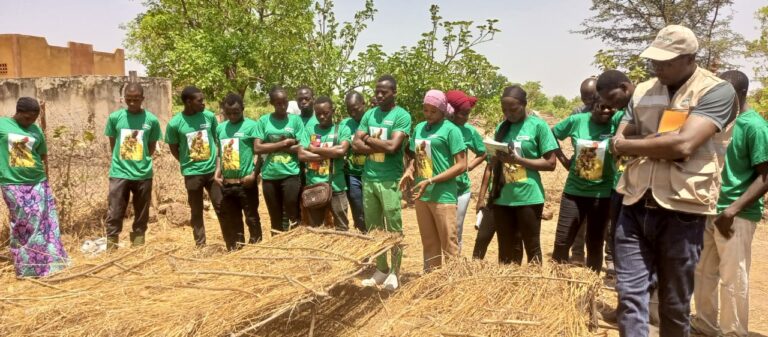 Bougouriba/Entrepreneuriat agricole : 100 jeunes en formation au centre de promotion rurale de Bapla