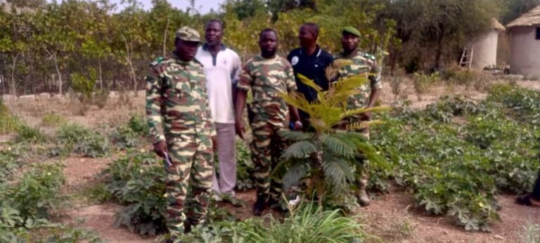 Gourma/Préparatifs de la campagne de reforestation 2025 : Le lieutenant-colonel Romuald Nikiéma visite des bosquets