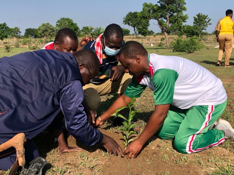 Ioba / Reverdir le Faso : 500 arbres plantés sur le site de Dano        