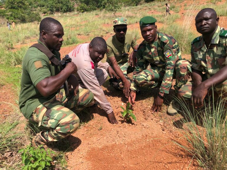 Ioba/Commune de Zambo : 570 arbres plantés sur le site de la grotte de Djikologo  