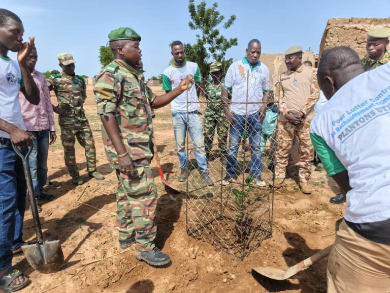 Bazèga/Reboisement : 230 plants mis en terre en bordure de route entre Kombissiri et Gaongo