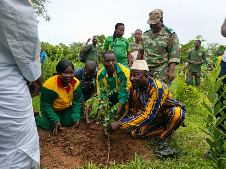 Bazèga/Reboisement : 595 plants d&rsquo;espèces médicinales mis en terre pour renforcer le bosquet provincial