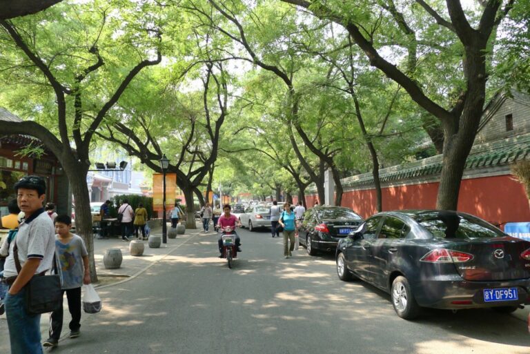 Environnement-Reboisement-Pékin-Verdure Chine : Beijing, une ville remarquablement verte