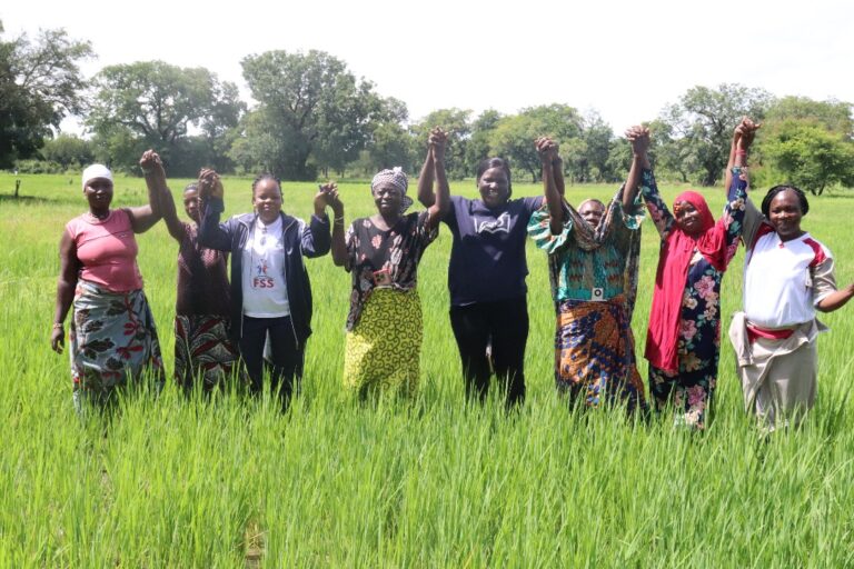 Zoundweogo/Autosuffisance alimentaire : le REPAFER Burkina accompagne plus de 100 coopératives féminines dans la production du riz.