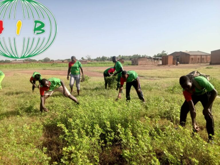 Solenzo : Les bacheliers de l’immersion nettoient le CSPS urbain 2 et la préfecture