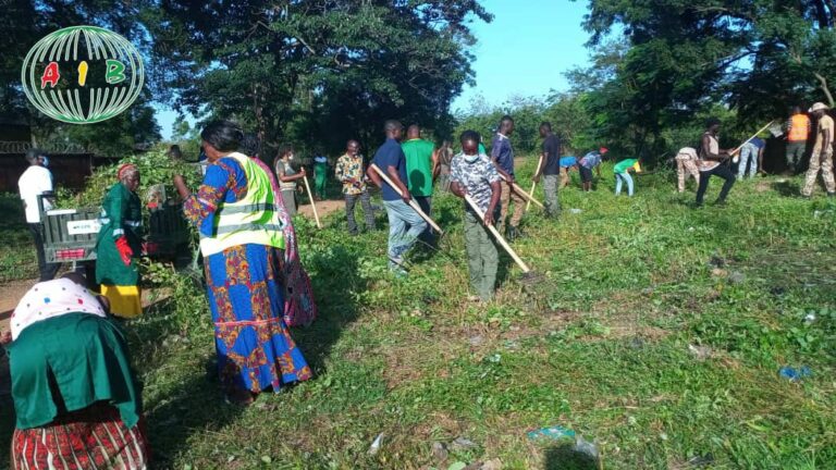 Nahouri/Journées nationales d’engagement : Les forces vives assainissent les services du haut-commissariat