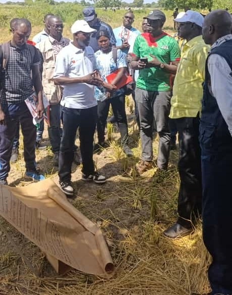 Mouhoun/Bas-fond rizicole de Sao : Plus de 130 tonnes de riz attendues pour la campagne 2025-2026