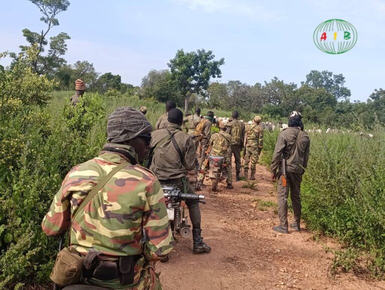 Bazèga/ Sécurisation Parc Tambi : des personnes interpellées et des troupeaux d’animaux domestiques saisis