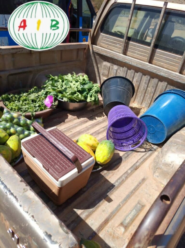 Koubri : La mairie lance une opération coup de poing contre l’incivisme routier