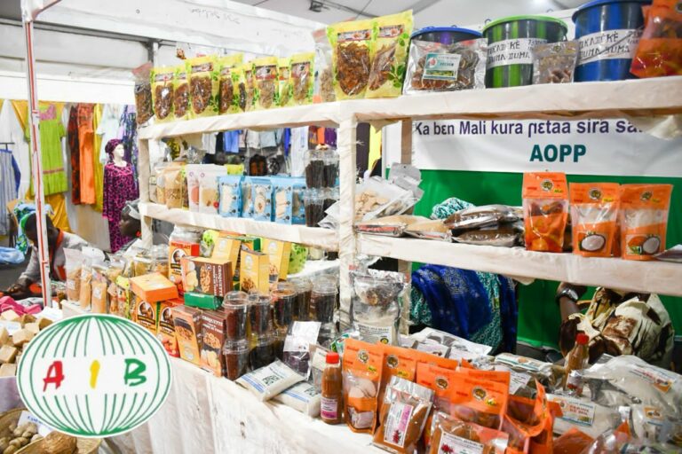 Burkina Faso : forte mobilisation des structures d’appui à l’artisanat au SIAMA 2025