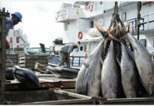 Le Gabon met fin au protocole de pêche avec l’Union européenne, dénonçant un partenariat «profondément déséquilibré»