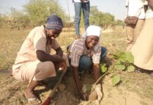 Oubri : des bacheliers plantent des arbres pour promouvoir l’éco-citoyenneté