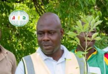 Sourgou/Reboisement : Près de 6 000 plants mis en terre dans le cadre du projet Terroir