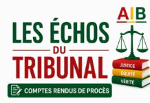 Kénédougou : L’auteur du double homicide de Torokoto condamné à perpétuité