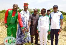 Burkina-Ganzourgou-Reboisement-Imiga Journée nationale de l’arbre : 400 plants mis en terre dans le bosquet de Imiga