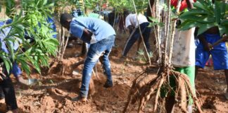 Léraba/Education : L’école de Sindoukorony mise sur le jardinage scolaire